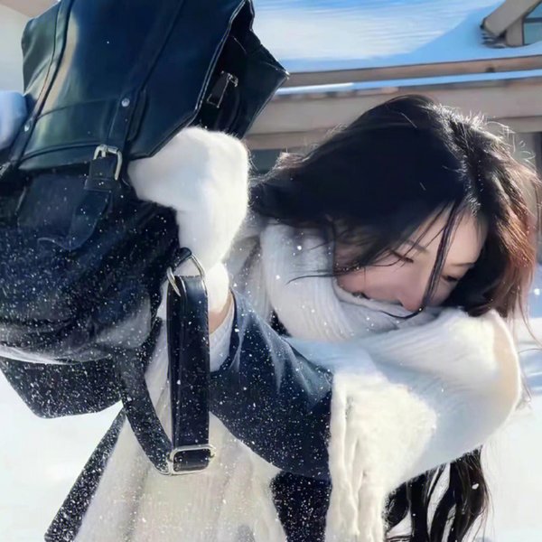 智运双全