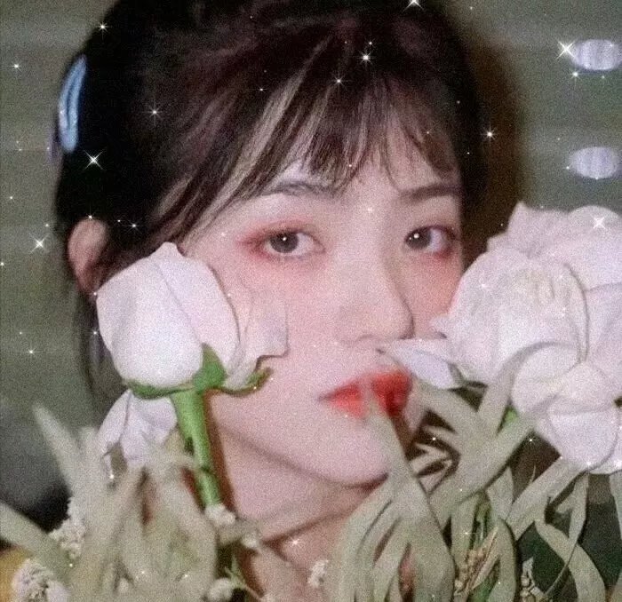 男神与女神的罗曼史