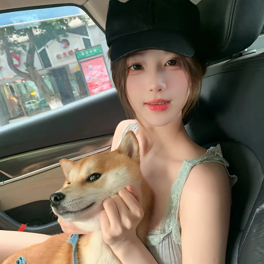 金装律师第四季